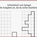 Lernstübchen Diagnose Zum Spiegeln 1