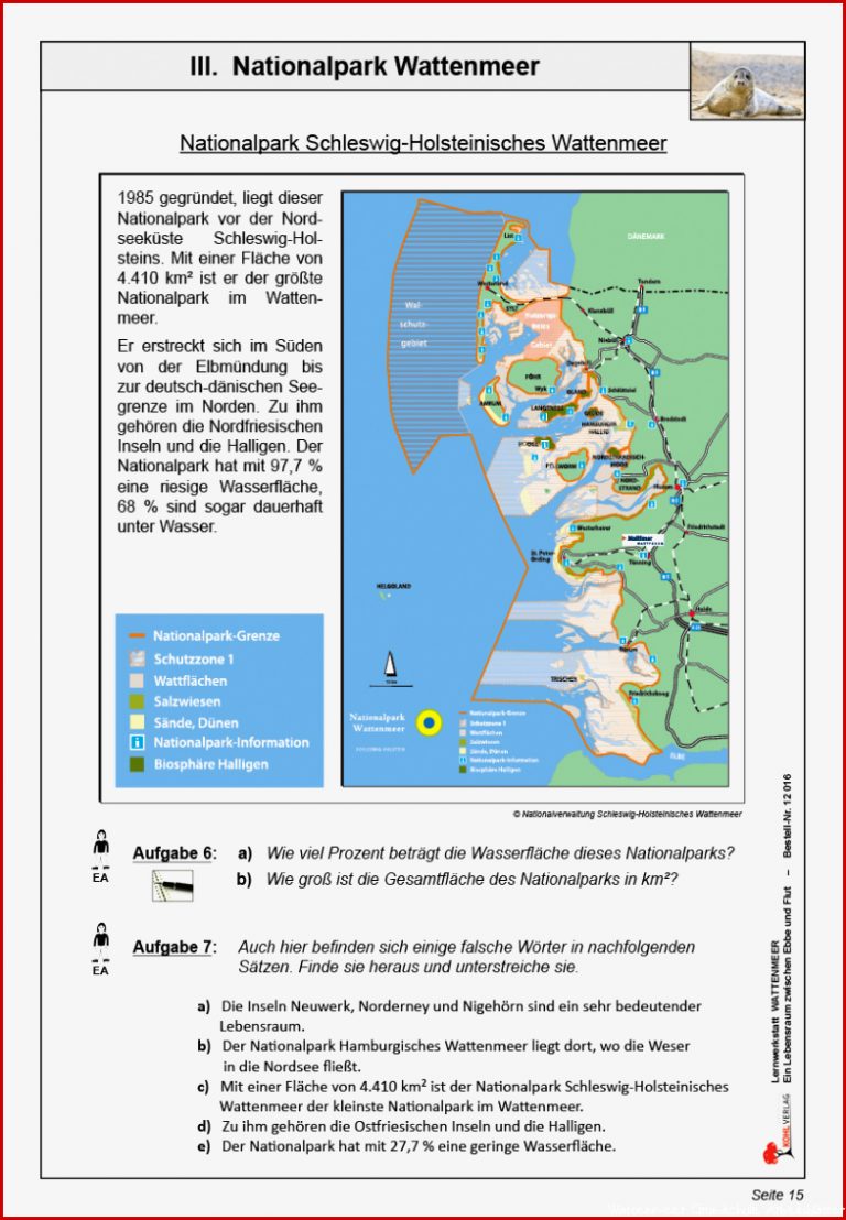 Lernwerkstatt Wattenmeer Pdf Ab 10 J 64 S