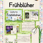 Lesekartei Frühblüher – Unterrichtsmaterial In Den Fächern