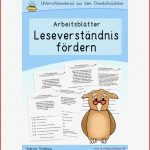 Leseverständnis Fördern