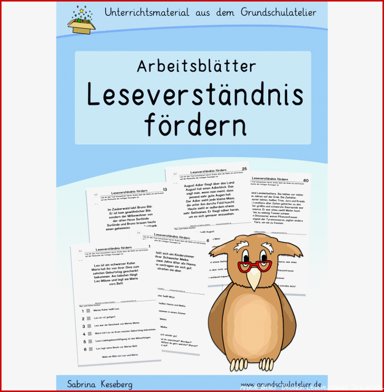 Leseverständnis fördern