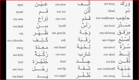 Lichaamsdelen Arabisch