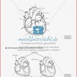 Lzk Klasse 5 6 Zum thema atmung Und Herz Meinunterricht