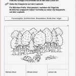 Märchen Arbeitsblätter Grundschule Worksheets