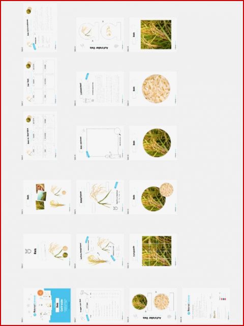Materialpaket Reis 17 Arbeitsblätter