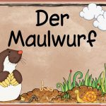 Maulwurf Klassenzimmer Gestalten Grundschule Geschichten