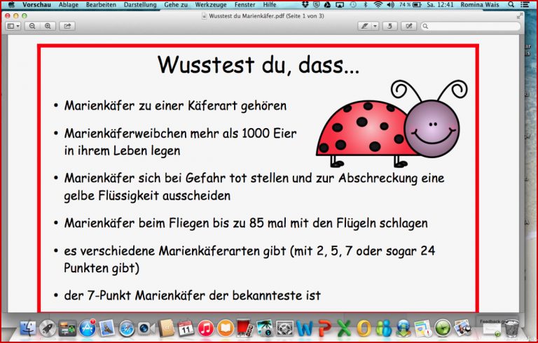 Miss cupcakes loves to teach Marienkäfer