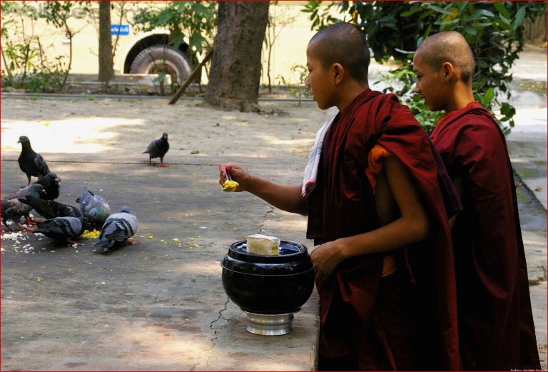 Mitgefühl In Schulen 2 Klassen 5 11 Buddhismus Unterricht