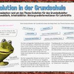 Modulbaukasten Evolution Für Grundschule – Pindactica