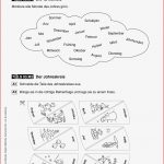 Monate Arbeitsblatt Kinderbilderwnload