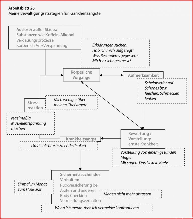 Muskeln Gegenspieler Arbeitsblatt