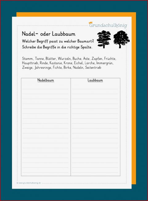 NadelbÃ¤ume / LaubbÃ¤ume