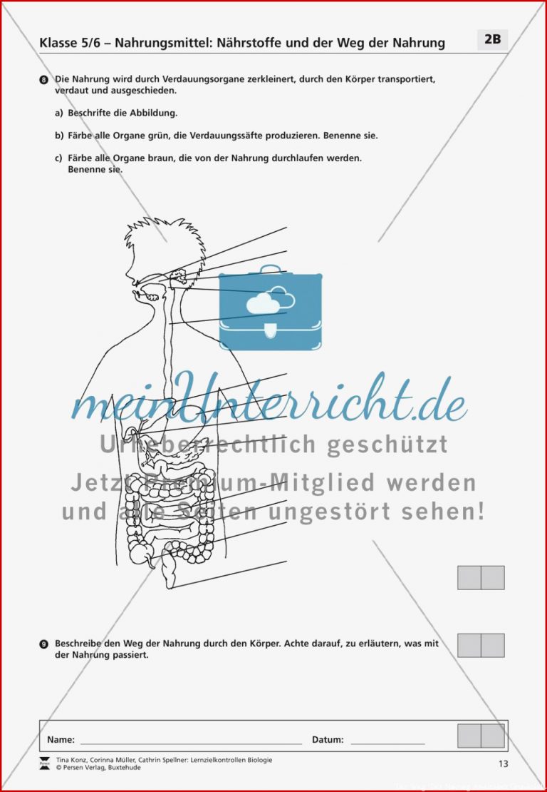 Nahrungsmittel Nährstoffe und der Weg der Nahrung