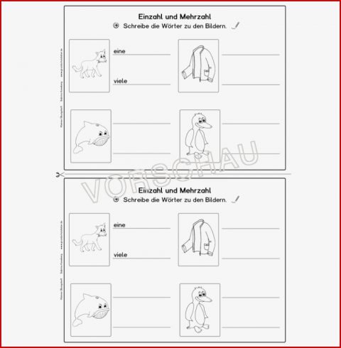 Nomen Einzahl Und Mehrzahl Übungsheft