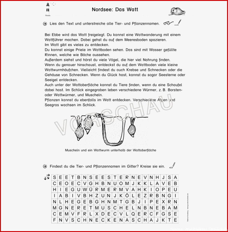 Nordsee Werkstatt für Grundschule