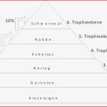 Ökologie Nahrungsbeziehungen