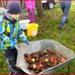 Oktober 2016 – Johann Peter Hebel Grundschule