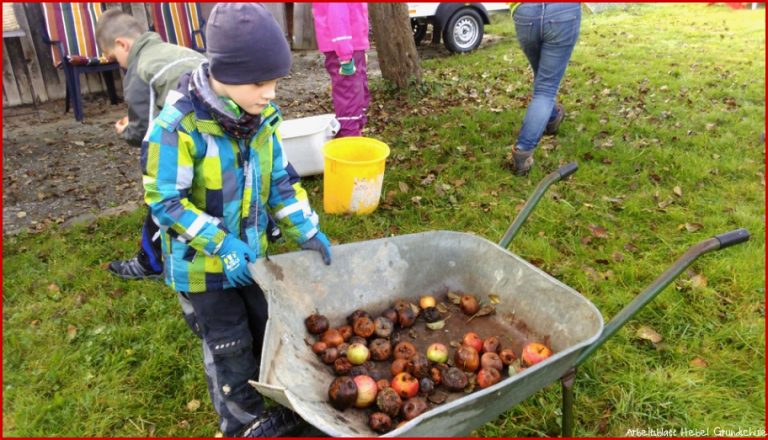 Oktober 2016 – Johann Peter Hebel Grundschule