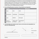 Optik Akustik · Arbeitsblätter · Sekundarstufe I · Lehrerbüro