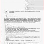 Personenbeschreibung Verschiedene Satzanfange Arbeitsblatt