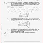 Physik · Arbeitsblätter · Sekundarstufe I · Lehrerbüro