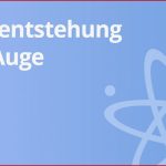 Physik Bildentstehung Im Auge Physikalischer