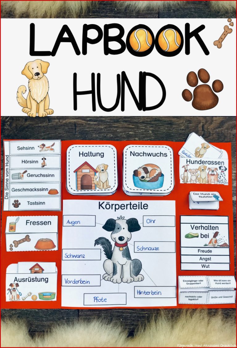 Pin auf Hund