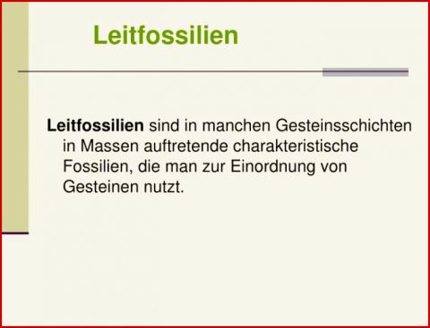 Ppt Sv1 Bedeutung Der Fossilien Für