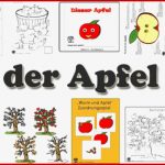 Projekt Der Apfel Kindergarten Und Kita Ideen