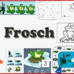 Projekt Frosch Und Teich Kindergarten Und Kita Ideen