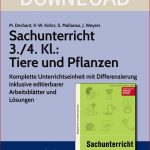 Sachunterricht 3 4 Klasse Tiere Und Pflanzen Für 9 95