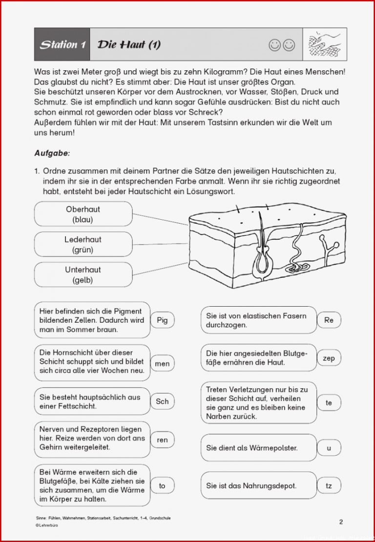 Sachunterricht · Arbeitsblätter · Grundschule · Lehrerbüro