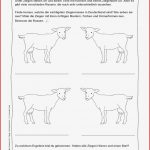 Sachunterricht · Arbeitsblätter · Grundschule · Lehrerbüro