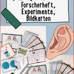 Schall Materialpaket forscherheft Bildkarten