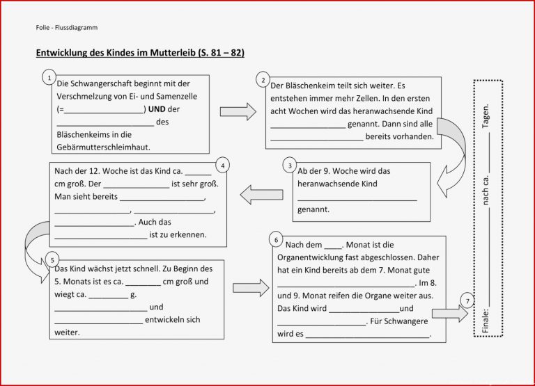 Schwangerschaft Arbeitsblatt