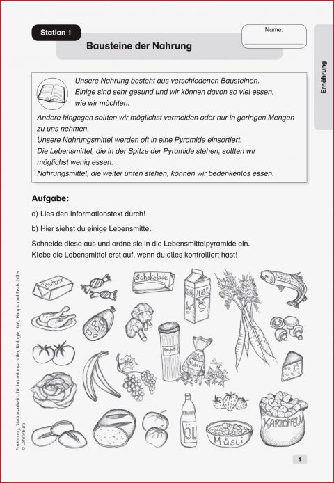 Sekundarstufe I Unterrichtsmaterial Biologie Inklusion