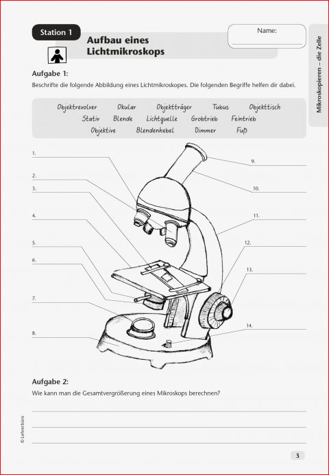 Sekundarstufe I Unterrichtsmaterial Biologie Pflanzen