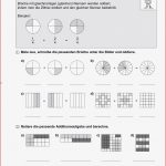 Sekundarstufe I Unterrichtsmaterial Mathematik Bruchrechnen