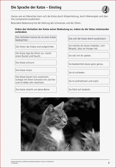 Sekundarstufe Unterrichtsmaterial Biologie Tiere Sprache