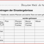 Sinnesorgane Grundschule Arbeitsblätter David Hoff Schule