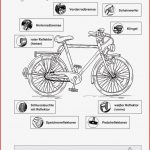 Sopäd Unterrichtsmaterial Sachunterricht Verkehrserziehung