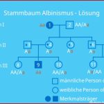 Stammbaumanalyse Aufgaben â¢ Mit LÃ¶sungen Â· [mit Video]