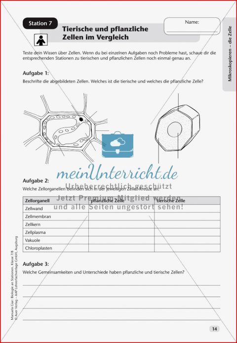 Stationsarbeit Zum thema "mikroskopieren - Die Zelle" - Meinunterricht