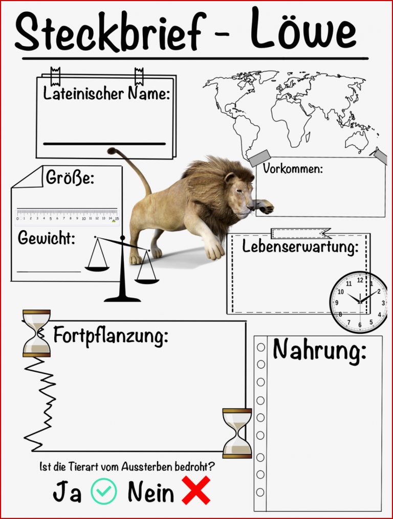 Steckbrief Löwe – Unterrichtsmaterial Im Fach Biologie