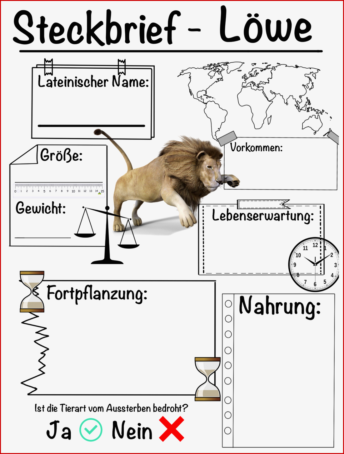 Steckbrief Löwe – Unterrichtsmaterial Im Fach Biologie