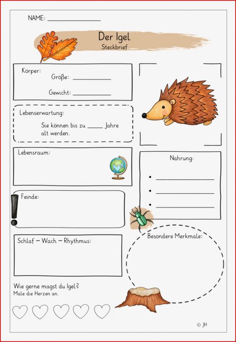 Steckbrief Zum Igel Mit Lesespaziergang