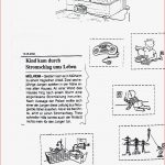 Strom Elektrizitaet Grundschule Stromkreis Versuche Strom