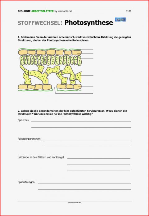 Synthese Beteiligte Strukturen – Unterrichtsmaterial