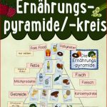 Tafelmaterial Ernährungspyramide Kreis Mit über 50