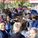 Teilnehmende Grundschulen Berlin Wildbienenbuffets Für